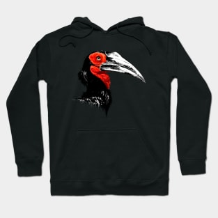 Southern Ground Hornbill Hoodie